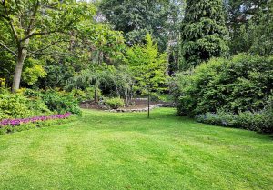 Optimiser l'expérience du jardin à Les Salles-sur-Verdon